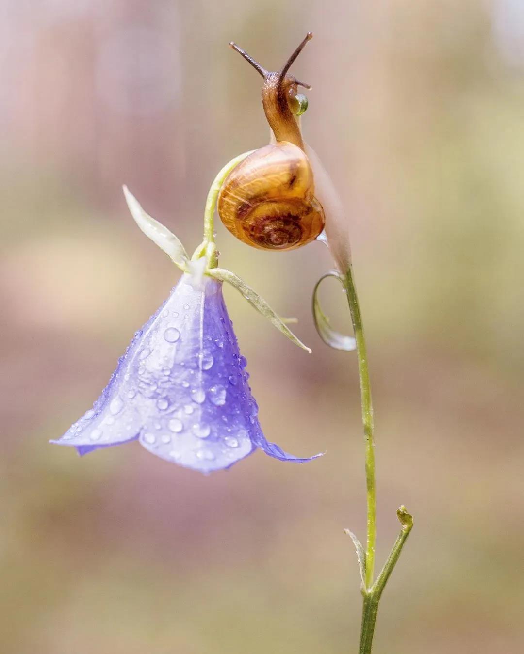 1596853936518927.jpg 微信图片_20200721201313.jpg