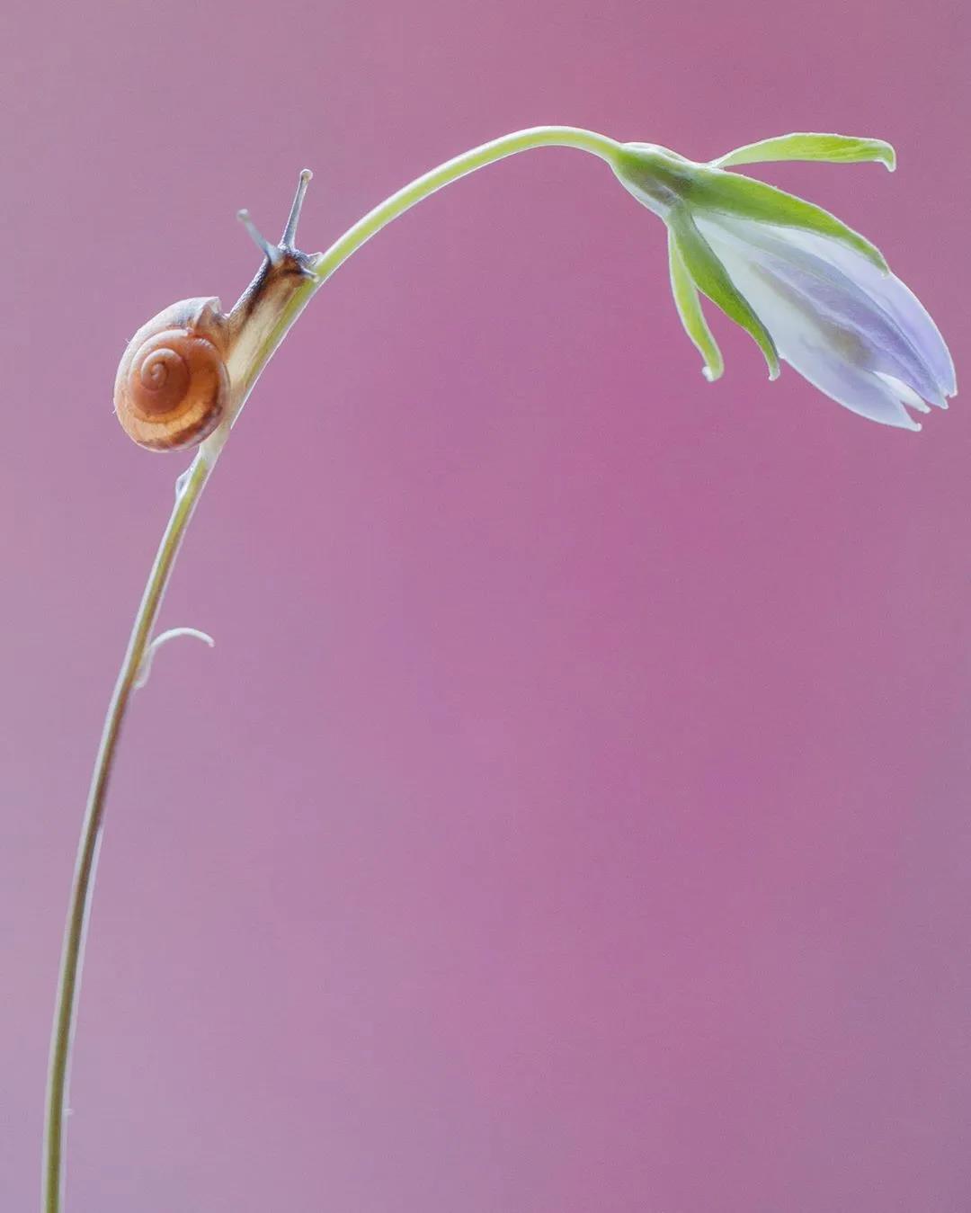 1596854097585187.jpg 微信图片_20200721201346.jpg