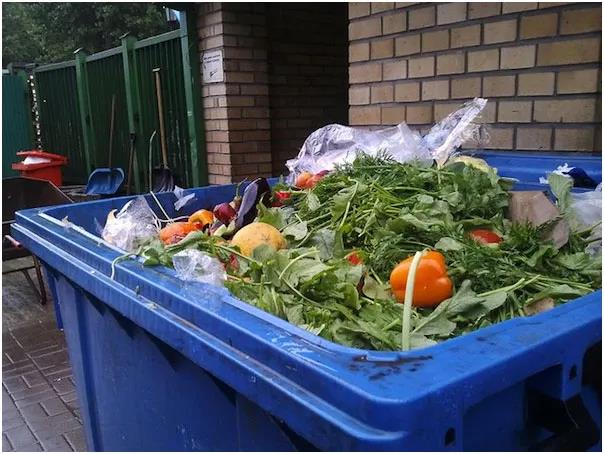 1597709887449498.jpg 6.jpg