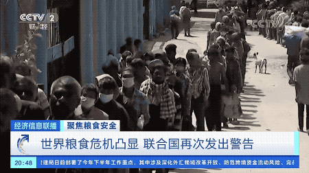 1597710118952140.gif 14.gif