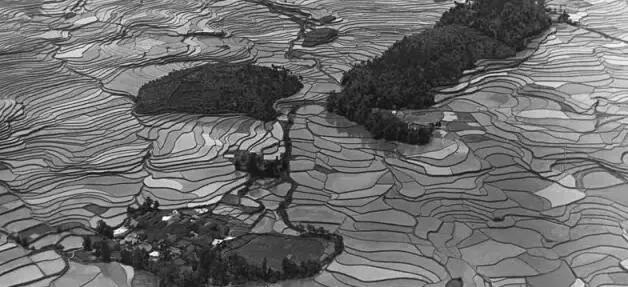 1601682592802071.jpg 微信图片_20201003073042.jpg