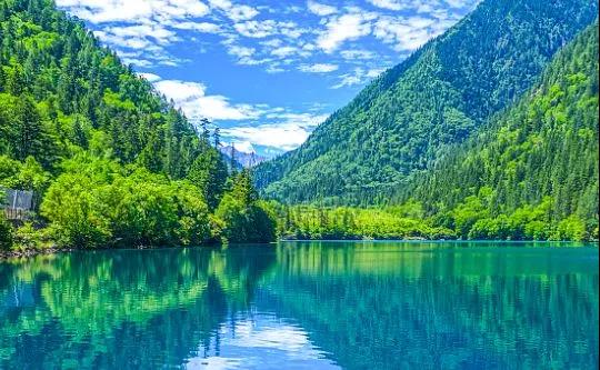 1601683231550101.jpg 微信图片_20201003073241.jpg