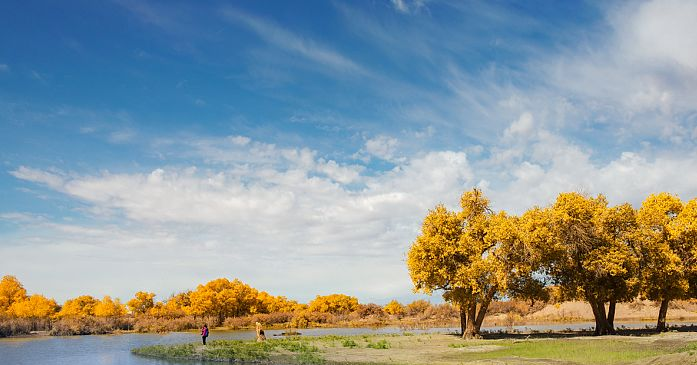 1601683312829048.png 微信图片_20201003073304.png