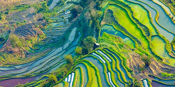 1601683622239712.png 微信图片_20201003073511.png